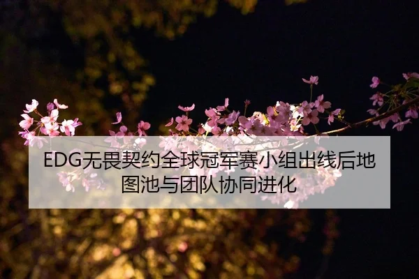 EDG无畏契约全球冠军赛小组出线后地图池与团队协同进化